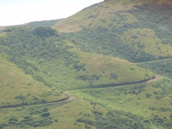 p1100791