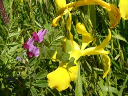 p1100795