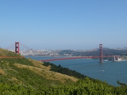 p1100796
