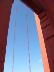 p1100798r
