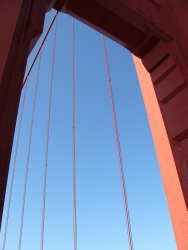 p1100799r
