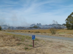p2290581