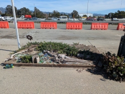 pxl20251024204728698