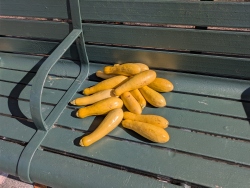 pxl20251024211136576