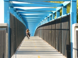 p1290908