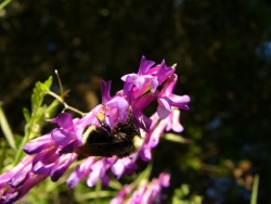 p1210676