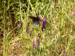 p1210677