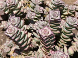 p1070181