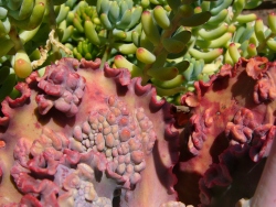 p1070186