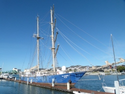 p2260955