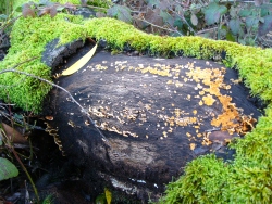 p1210099