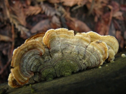 p1210116
