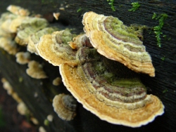 p1210117