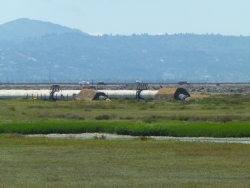 p2020551