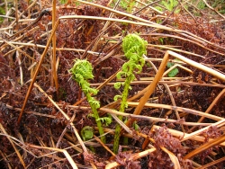 p1170335