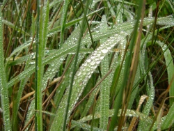 p1170338