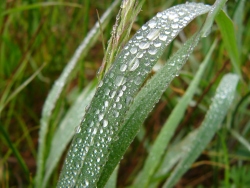 p1170342