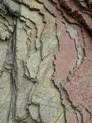 p1170351r