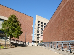 p1150378