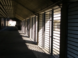 p1150379