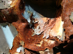 p1150421