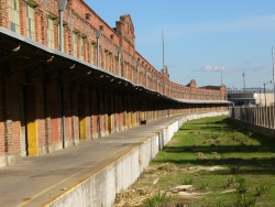 p1150429