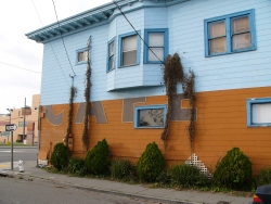 p1150455