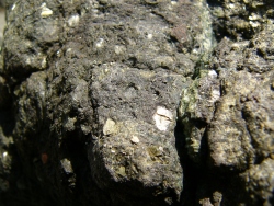 p1240044