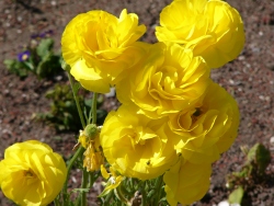 p1100351