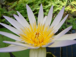 p1100362
