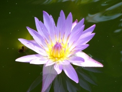 p1100366