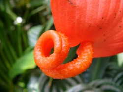 p1100374