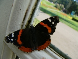 p1100387