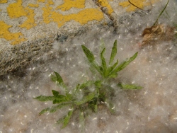 p1210712