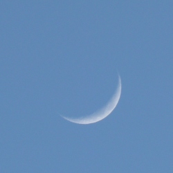 p2300492c