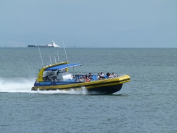 p2380417
