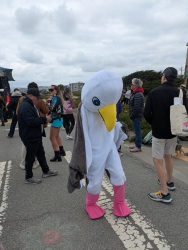 sample