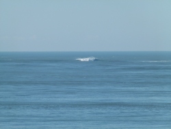 p2200341
