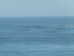 p2200346