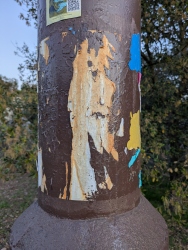 pxl20250127012428954