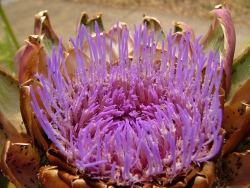 p1220393