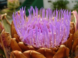 p1220394
