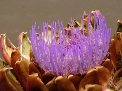 p1220398