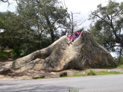 p1100039