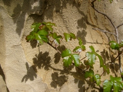 p1100045