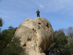 p1100053