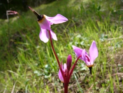 p1100059