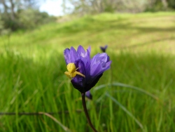 p1100068