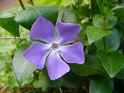 p1100072