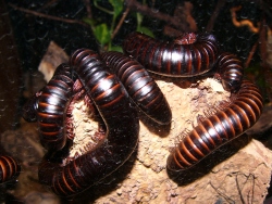 p1210274